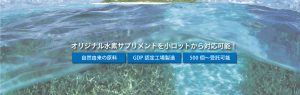 水素サプリメントなら水素サンゴカルシウム